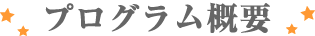 プログラム概要